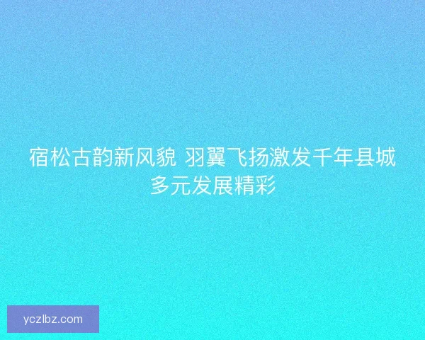 宿松古韵新风貌 羽翼飞扬激发千年县城多元发展精彩