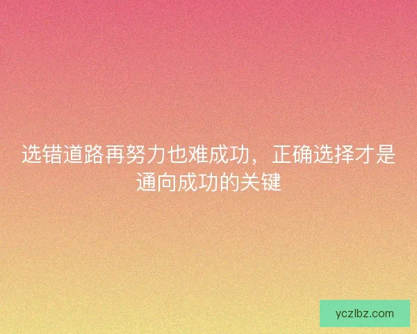 选错道路再努力也难成功，正确选择才是通向成功的关键